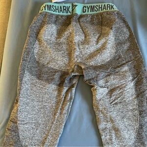 Gymshark Heather Gray Leggings with Mint Waistband
